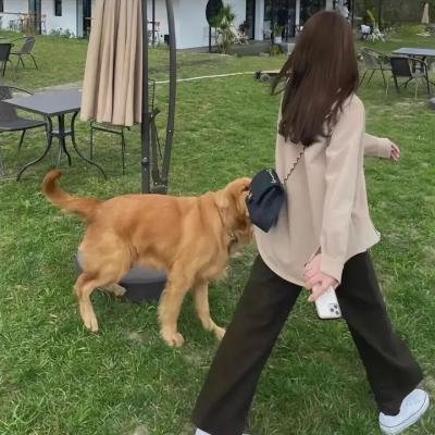 爱的勘探法