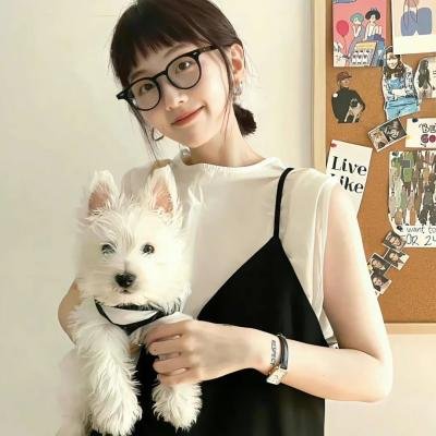 口袋忍者